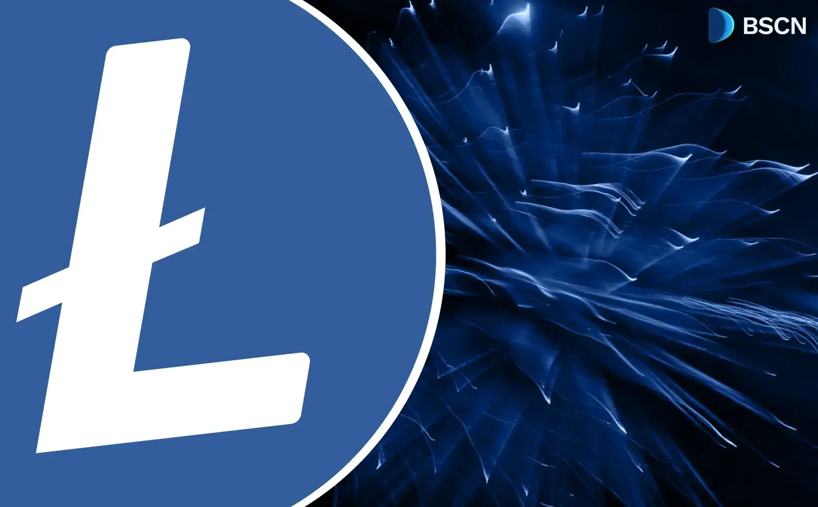 洞察：2026 年莱特币 LTC 的状况