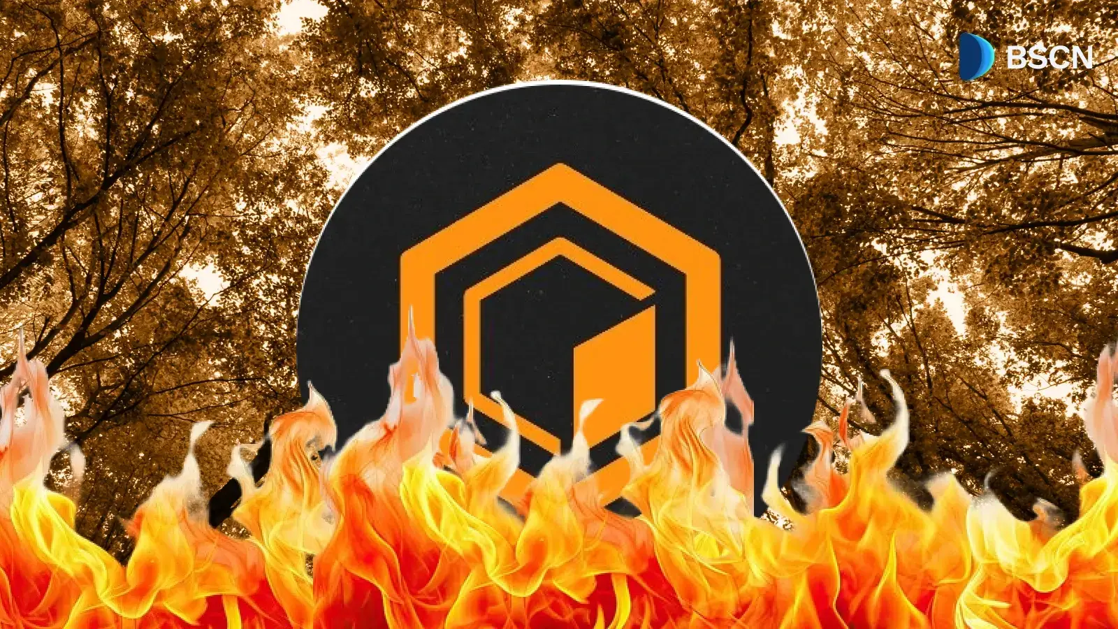 Core DAO 的代币销毁如何运作？这对长期供应意味着什么？