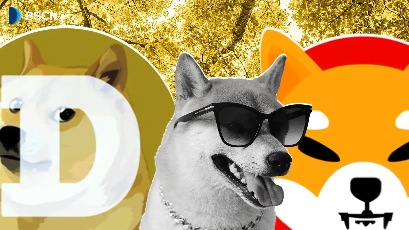 柴犬币 vs 狗狗币：技术和社区层面的比较
