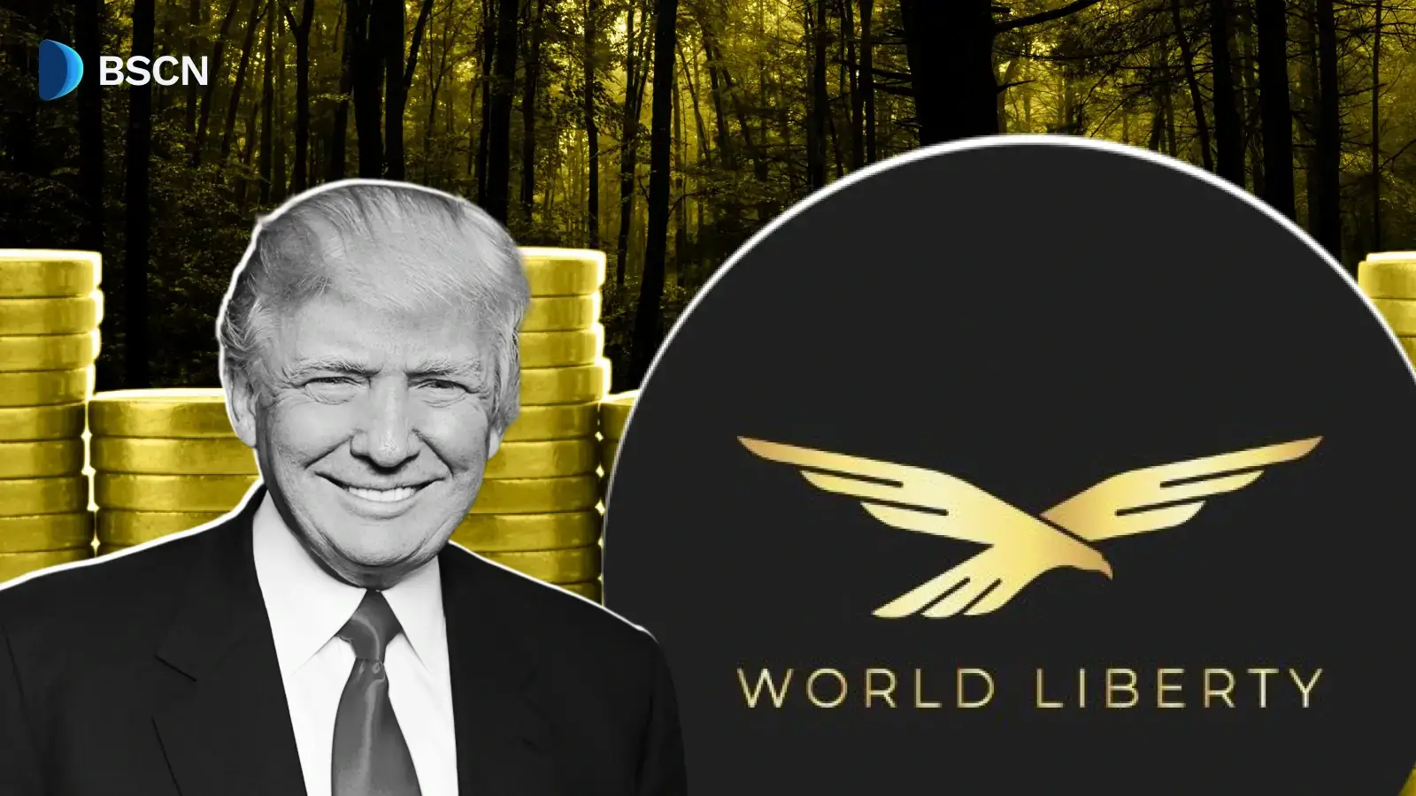 什么是世界自由金融超级节点？它的成本是多少？