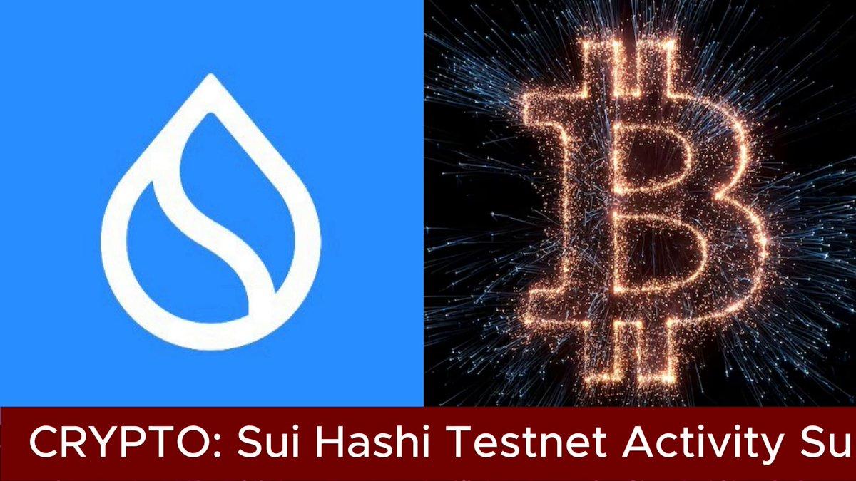Sui Hashi 测试网活动激增