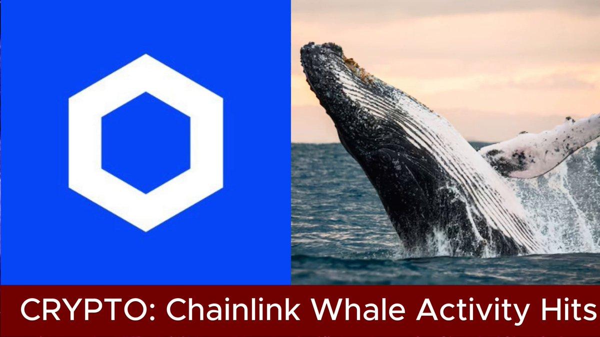 Chainlink 鲸鱼活动创下五个月新高