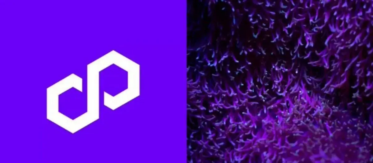 Polygon 在过去两周内大力发展生态系统！