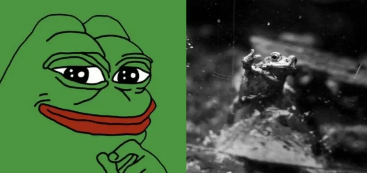 PEPE 刚刚见证了近两年来最大规模的交易所外流