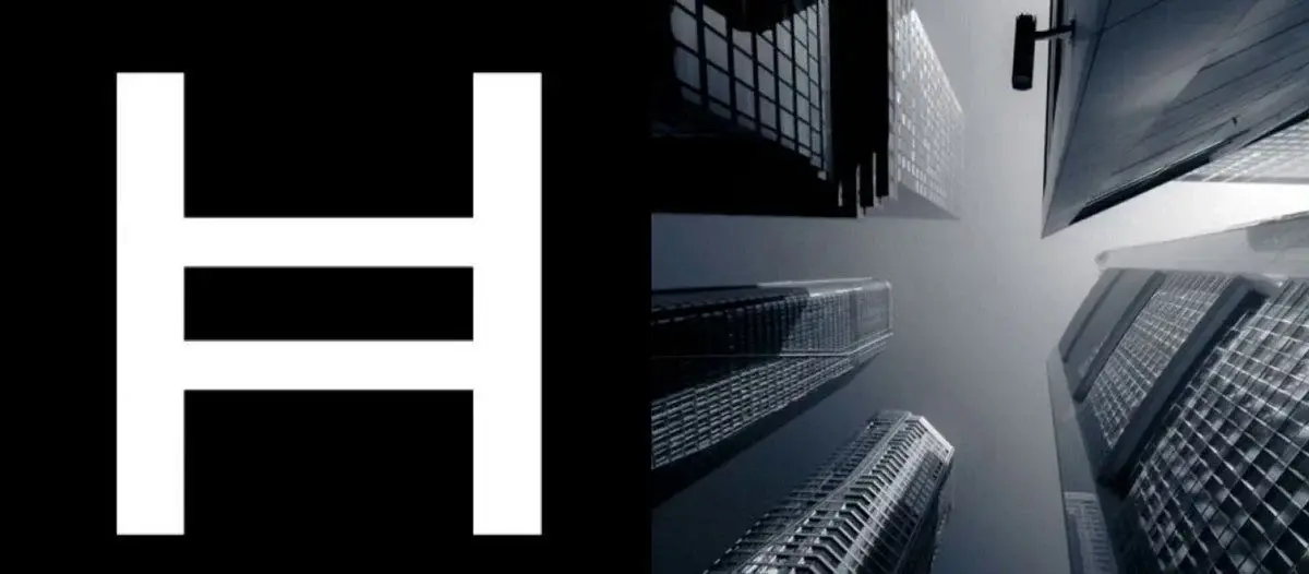 1点Hedera ETF刚刚迎来了自5月15日以来最大的资金流入!