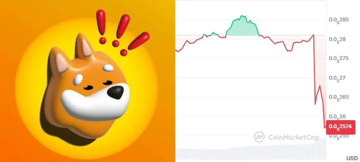 $BONK 最大的打击吗?