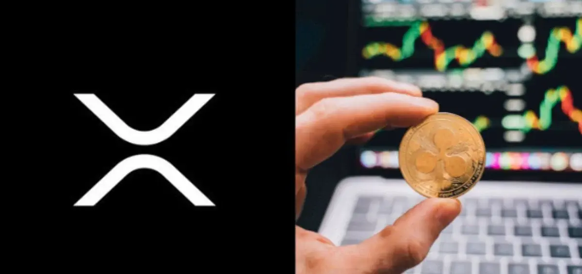 XRPL 每周 DEX 交易量攀升 45%,每日交易量接近 300 万笔