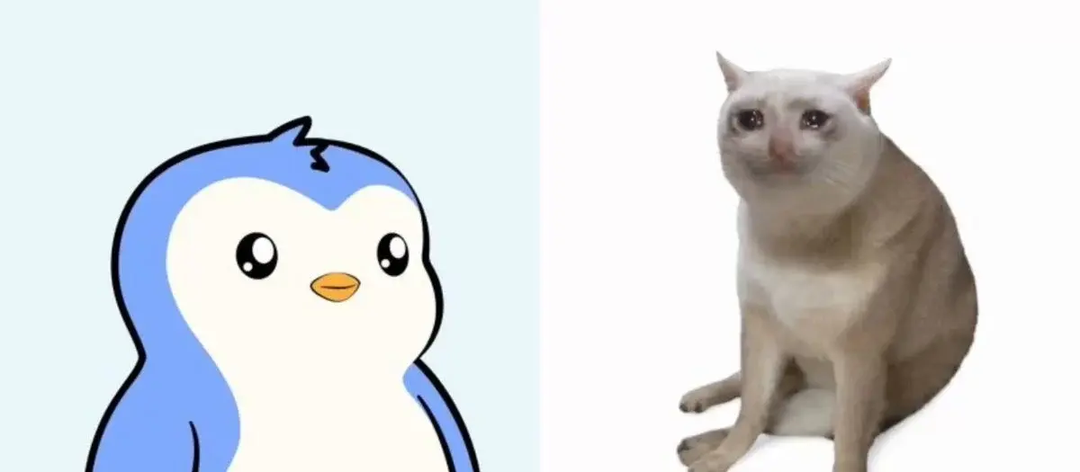 Pengu、Cashcat 和 PumpFun 领先