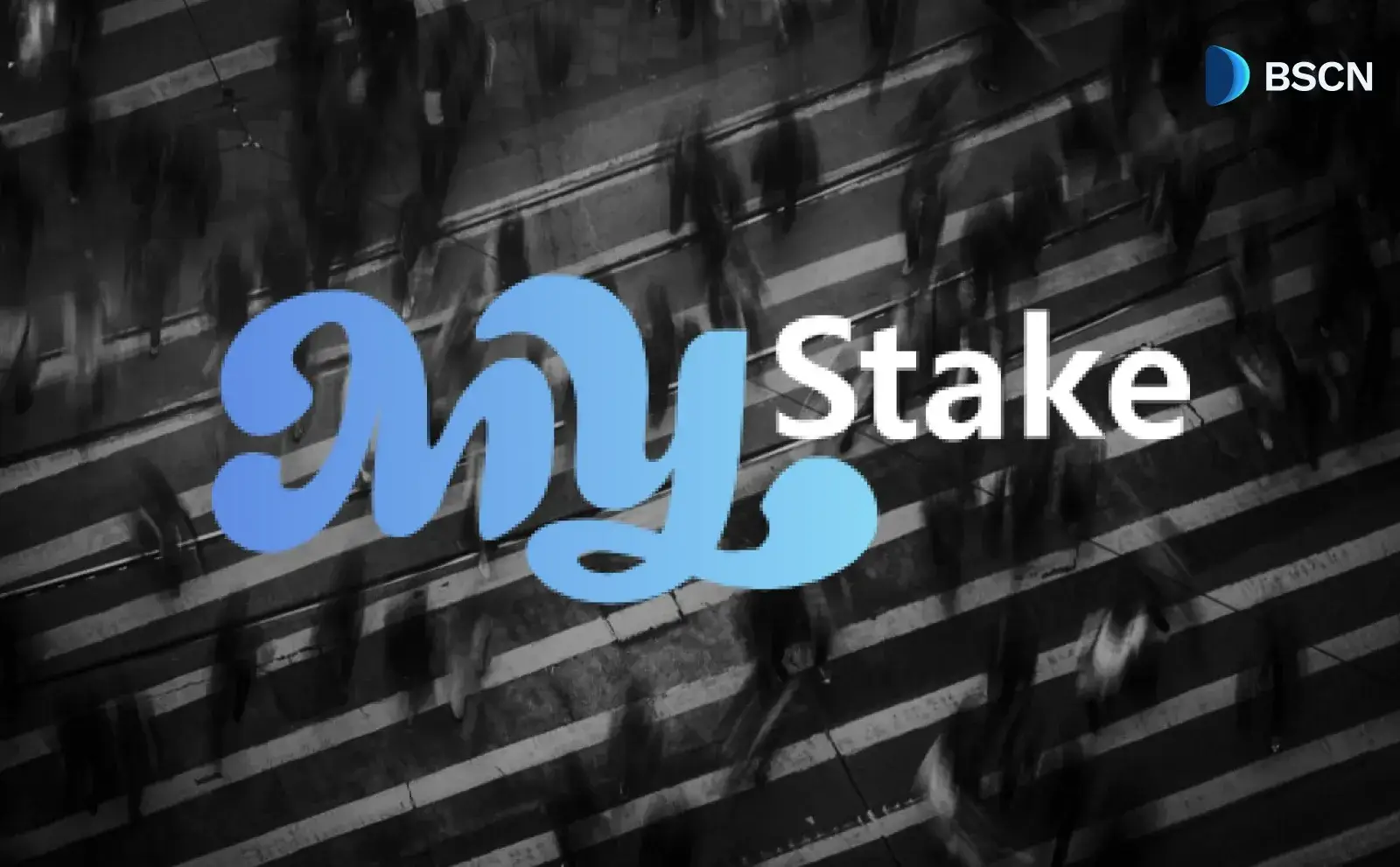 MyStake Casino:为全球玩家提供优质的直接网页游戏体验