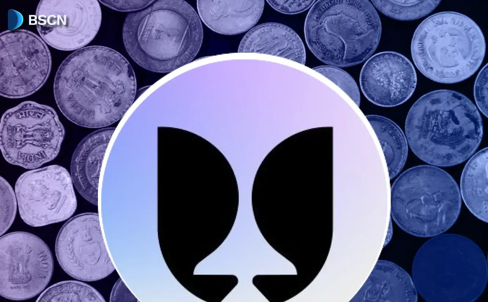 FlyingTulip 在 CoinList 销售成功后,为 TGE 做准备
