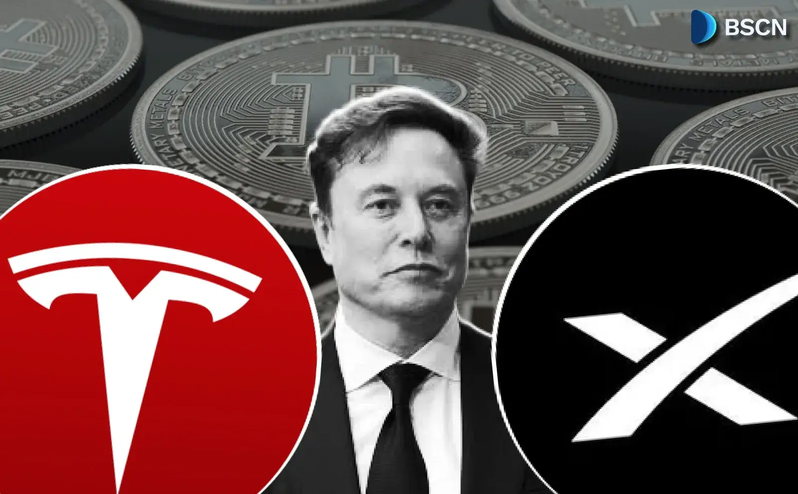 特斯拉和SpaceX分别持有多少比特币?