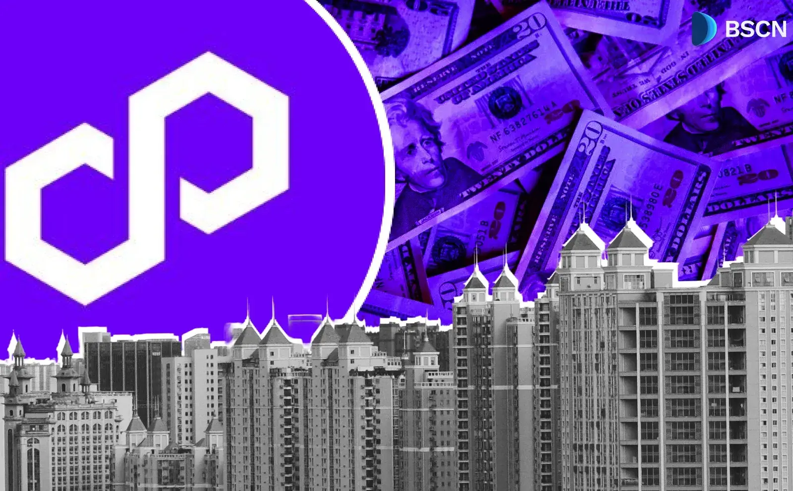 Polygon 揭示了机构的私人支付方式