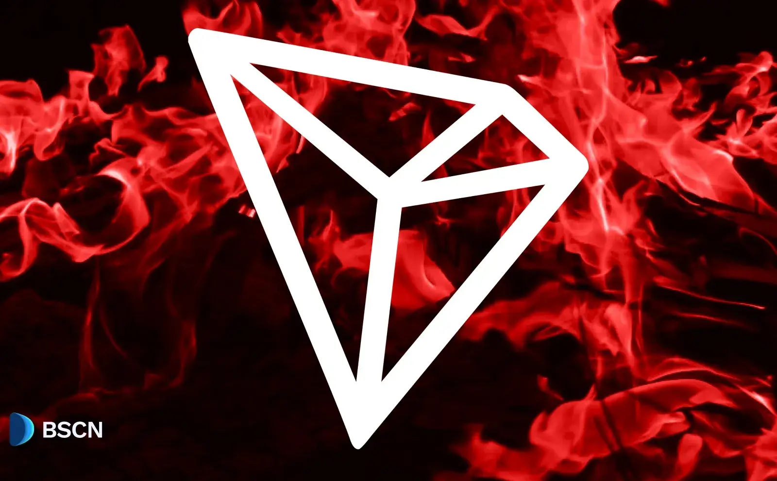 TRON 2025:增长、整合与 USDT 主导地位