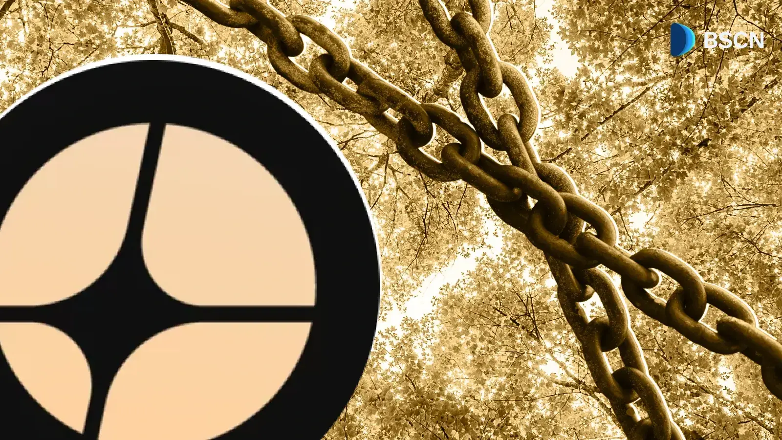 什么是 Aster Chain?该协议计划如何扩展到 BNB Chain 之外?