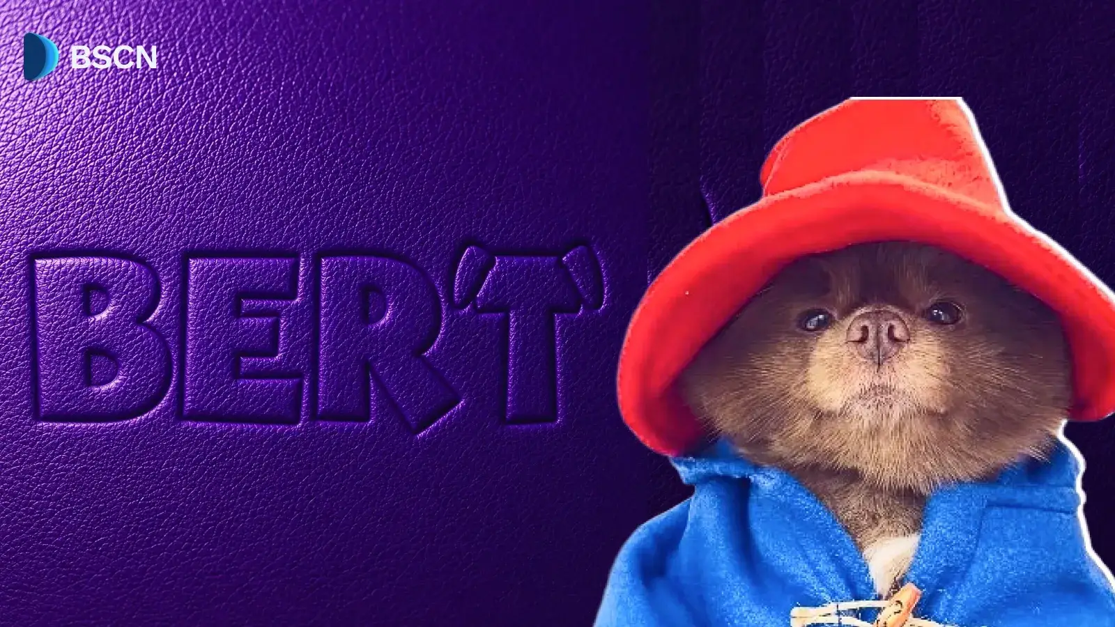 Solana 上的 BERT Memecoin 是什么?