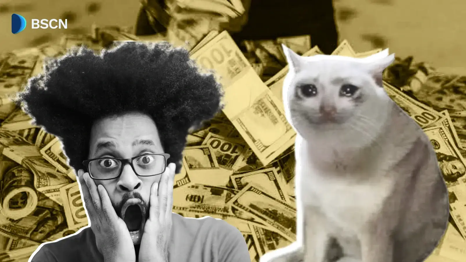 什么是现金猫 Memecoin?