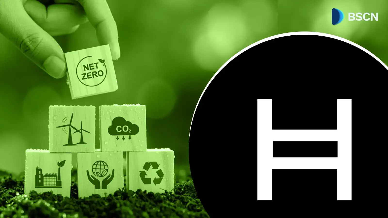 Hedera 如何改变碳信用和供应链追踪?
