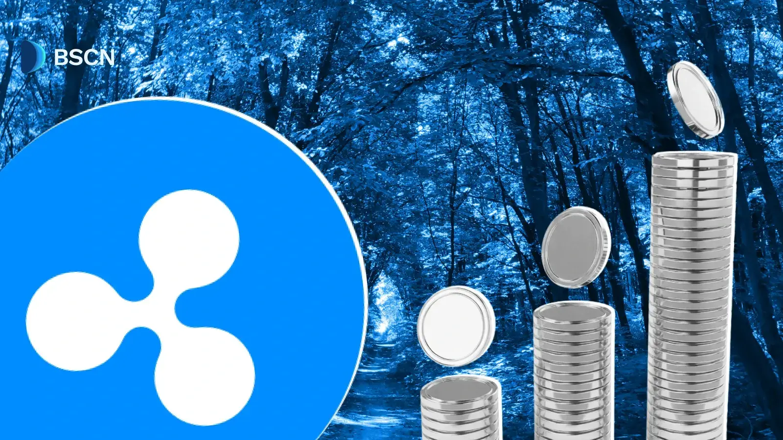 Ripple Mint是什么?